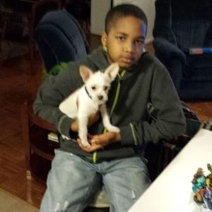 Meet your Posher, Claude